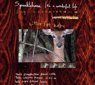 sparklehorse "It's a Wonderful Life" website design and production